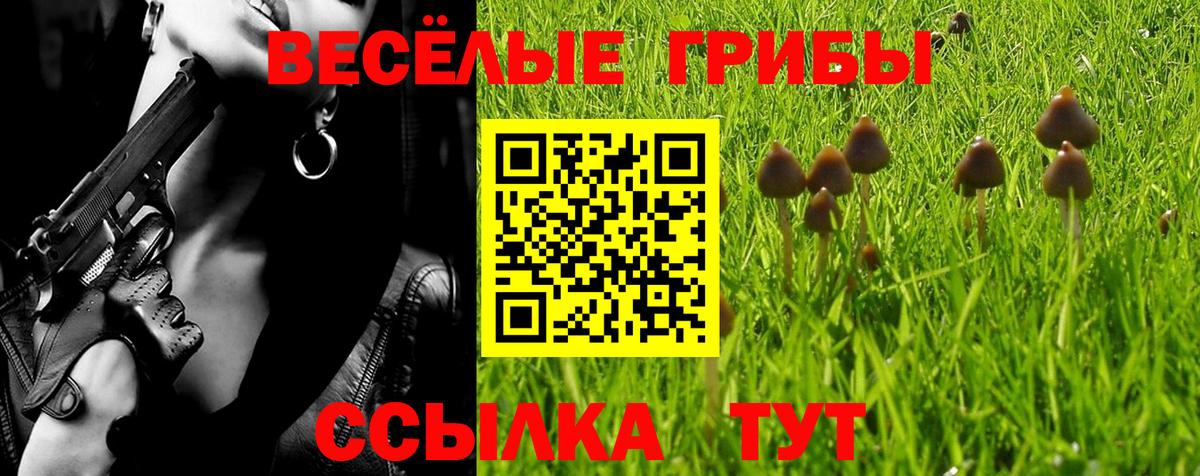 где можно купить   Галлюциногенные грибы мицелий  Вход с VPN  Галлюциногенные грибы мицелий  Медногорск 